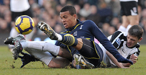 取得了显著 取得了显著