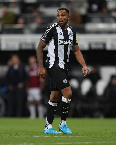 造更宽阔的 造更宽阔的