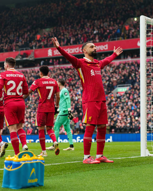 进一步巩固 进一步巩固